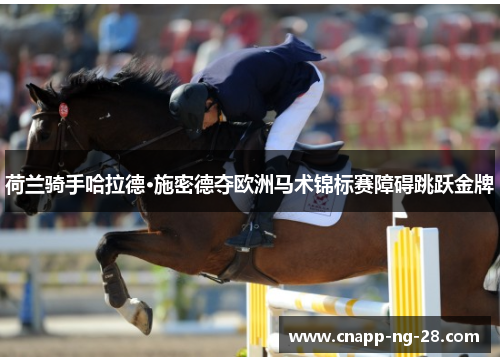 荷兰骑手哈拉德·施密德夺欧洲马术锦标赛障碍跳跃金牌 荷兰骑手哈拉德·施密德夺欧洲马术锦标赛障碍跳跃金牌