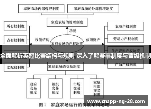 全面解析英冠比赛结构与规则 深入了解赛事制度与晋级机制