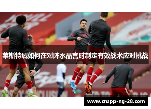莱斯特城如何在对阵水晶宫时制定有效战术应对挑战