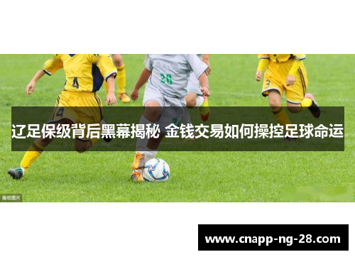 辽足保级背后黑幕揭秘 金钱交易如何操控足球命运