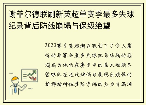 谢菲尔德联刷新英超单赛季最多失球纪录背后防线崩塌与保级绝望